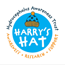 HARRYS HAT LOGO