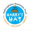 HARRYS HAT LOGO